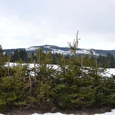 Gaestehaus Haller Bodenmais