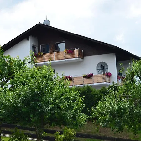 Maison d'hôtes Gaestehaus Haller Bodenmais