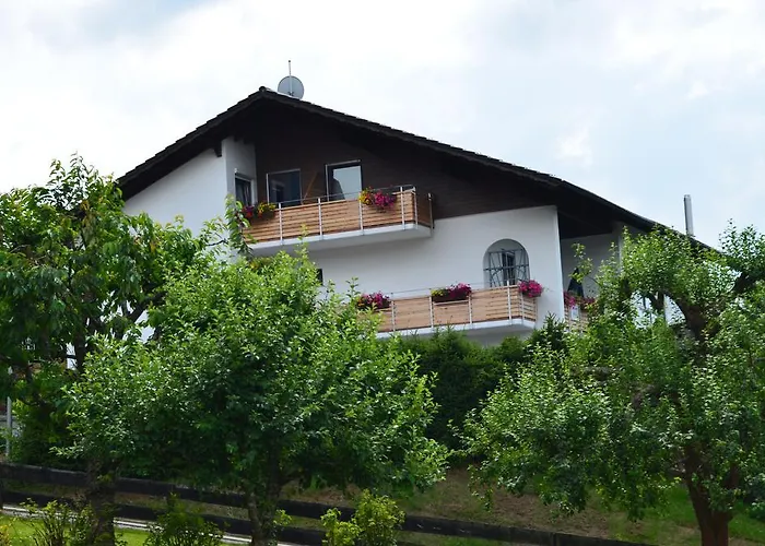 Maison d'hôtes Gaestehaus Haller Bodenmais