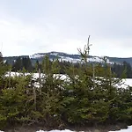 Gaestehaus Haller Bodenmais